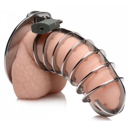 Stainless Steel Spiked Chastity Cage